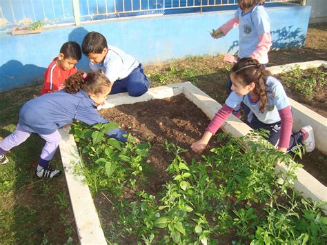 Cemei Haydee Maria Pupo Novaes Projeto Horta Na Escola