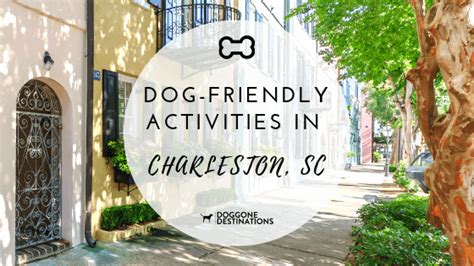 9 of the Most Pet-Friendly Hotels in Charleston, SC