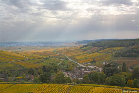 - Burgundy Guide
