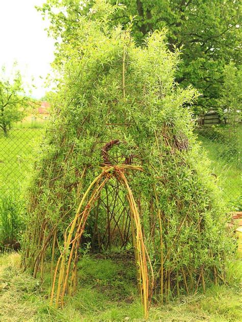 Diy Willow Structures Archives Off Grid World