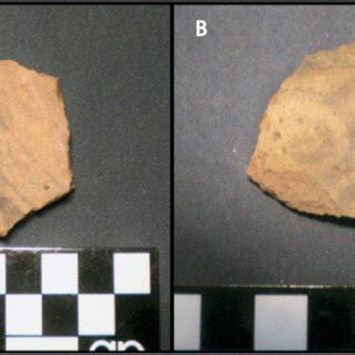 Fragmentos Cer Micos De La Recoleccion Superficial Del Abra De Minas