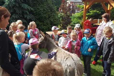 Zwierz Ta Zagroda Kociewska Rodzinny Park Rozrywki