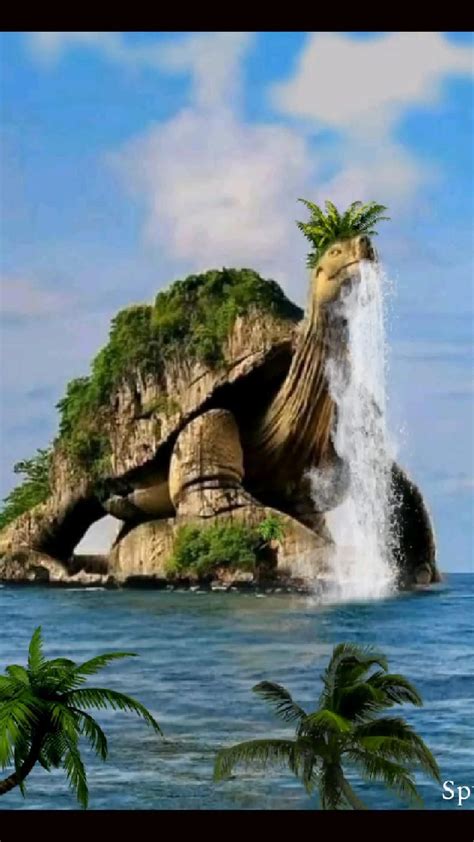 Turtle island – Artofit