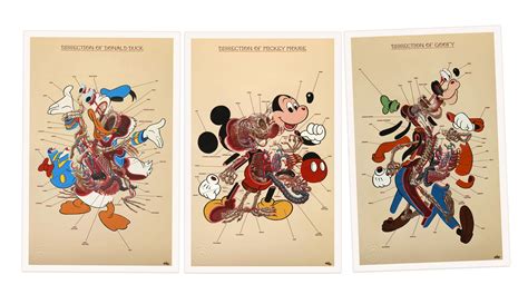 Bundle Dissection Of Donald Mickey And Goofy Anatomy Sheets