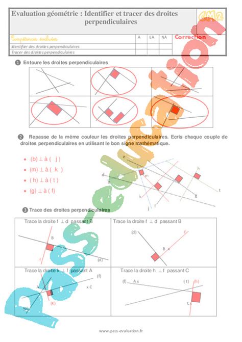 Identifier Et Tracer Des Droites Perpendiculaires Au Cm2 Evaluation