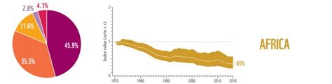 Biodiversity Loss In Numbers The Wwf Report Earth Org Past