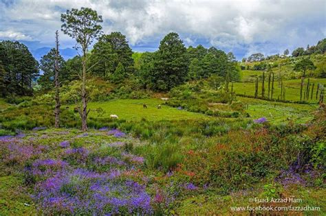 Parque Nacional La Tigra A Tan Solo Minutos De Tegucigalpa Parque