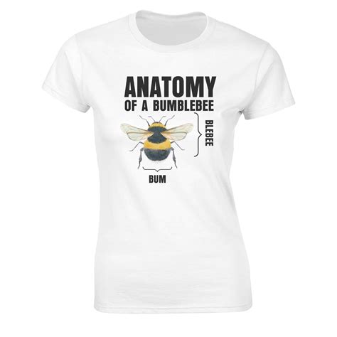 Anatomy Of A Bumblebee T Shirt Funny Slogan Joke Cute Bee Men Women Plus Size Ebay