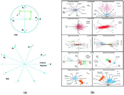 (a) Original star coordinate system with a sample of point P (top) and ...