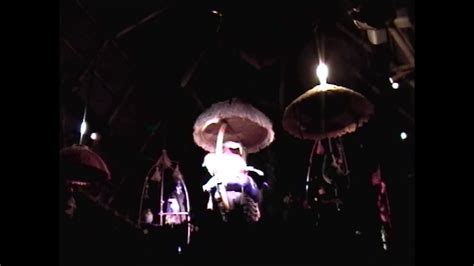 Tiki Room Under New Management With Iago 2009 YouTube