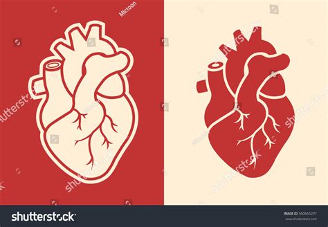 Iconos Del Corazón Humano Aislados En Vector De Stock Libre De