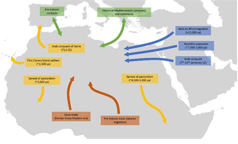 Figure 1 From Population History Of North Africa Based On Modern And