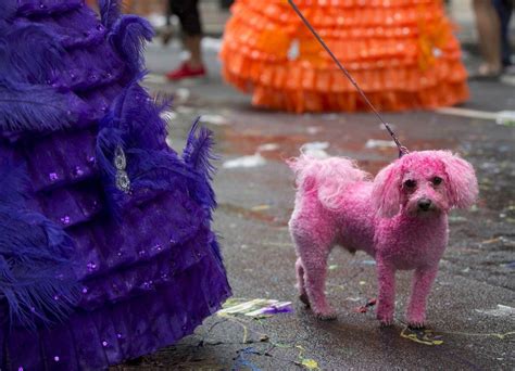 El Orgullo Gay en el mundo en 27 imágenes FOTOS