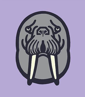 Walrus Face Drawing