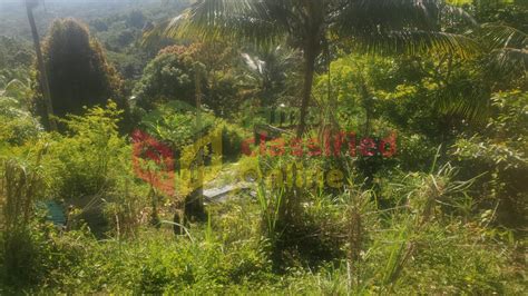 development land residential  sale st thomas wilmington