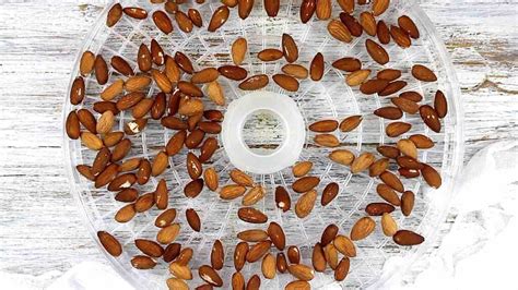 Activated Almonds or Soaked Almonds Snack - Low Carb No Carb