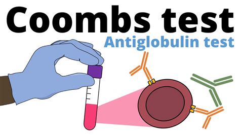 Coombs Test Antiglobulin Test YouTube