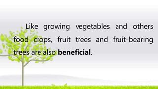 Importance Of Planting Trees And Uses Of Fruit Bearing Trees Ppt