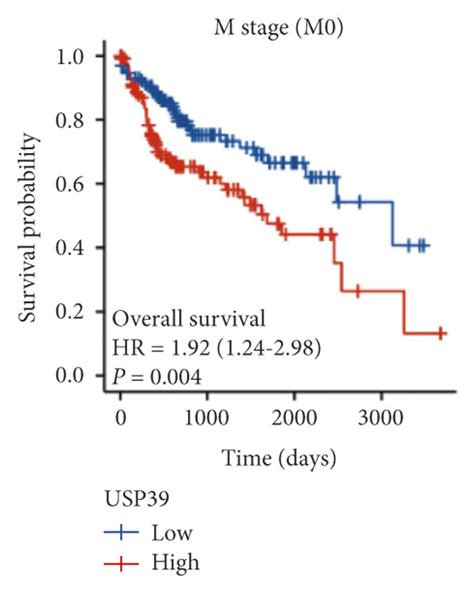 KaplanMeier Curves For OS DSS And PFI In Patients With HCC High