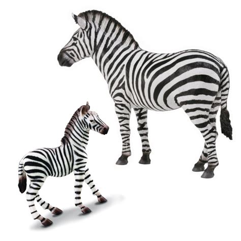 Set- Zebra – Leading Children