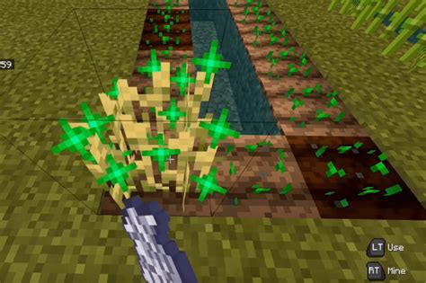 How To Get Wheat In Minecraft Minecraft Wheat Farm