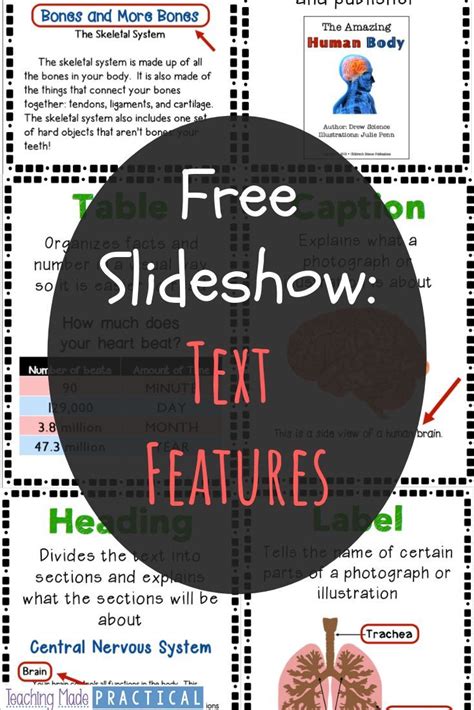 Freebie A Text Features Slideshow To Help Improve Reading