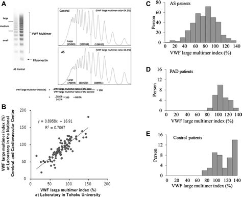 Von Willebrand Factor Ristocetin Co Factor Activity To Von Willebrand Factor Antigen Level Ratio