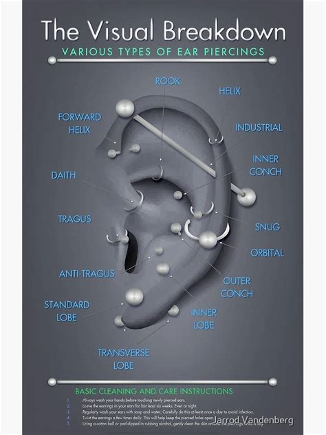 Ear Piercing Infographic Chart Greeting Card For Sale By Jarrod