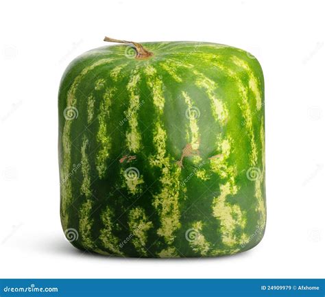 Quadratische Wassermelone Stockbild Bild Von Wassermelone 24909979