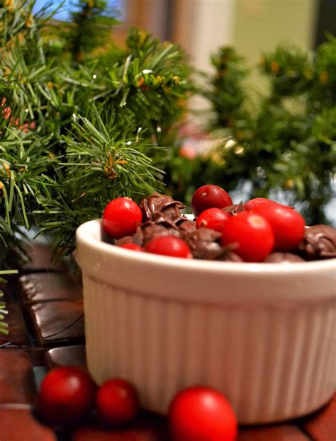 Simple Savory And Satisfying Dark Chocolate Covered Cranberries