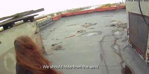 Fucking Glasses Sex On The Roof Stacy Snake Tnaflix