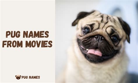 Pug Names from Movies (Complete List) - PugNames.net