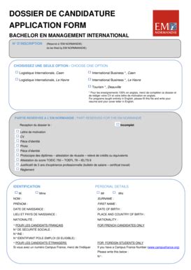 Fillable Online Dossier De Candidature Application Form Ecole De