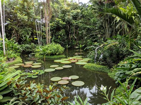 Botanic Gardens in Singapore. The most beautiful garden I've ever seen ...