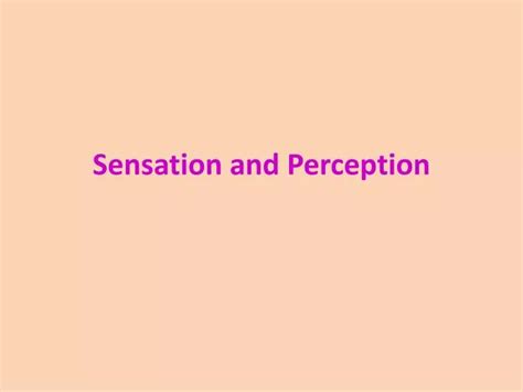 Ppt Sensation And Perception Powerpoint Presentation Free Download Id1460361