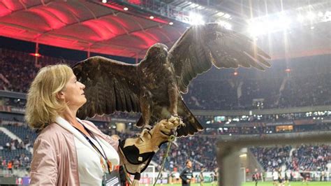 Eintracht Frankfurt Peta fordert Adler Verbot fürs Stadion NOZ