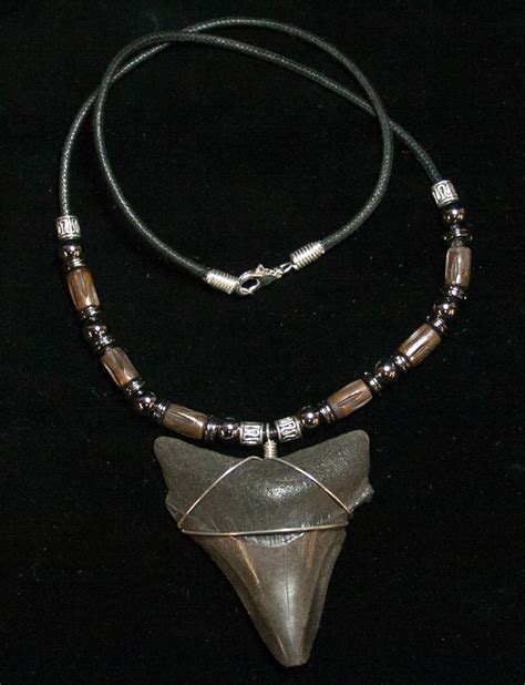 Megalodon Tooth Necklace For Sale Fossilera