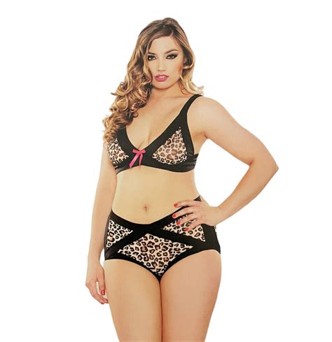 Fantasy Lingerie Plus Size Sexy Peek A Boo Cutout Bra Panty Set Leopard