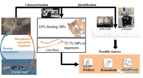 Fese 前沿研究：海洋三所塑料污染化学研究组南海南部珊瑚岛礁周边微塑料特征和多样性研究—论文—科学网