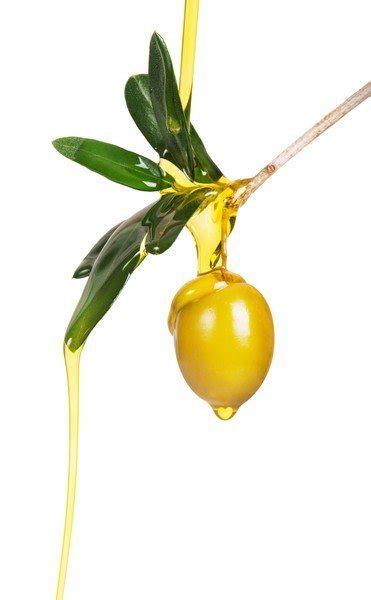 Olive Oil of the Month Club : 3, 6, 9 or 12 months — Olive Oil of the World