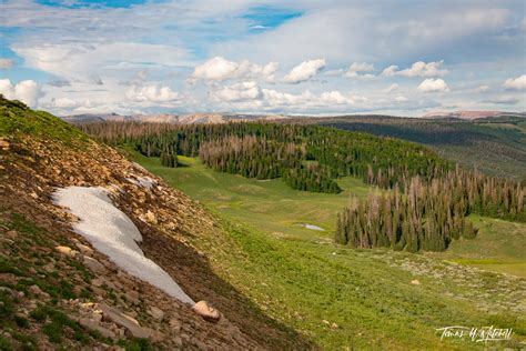 Mountain snow wolf creek utah photo art prints for sale | Tomas W Mitchell