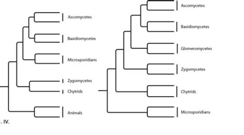 Chapter 20: Quiz Flashcards | Quizlet 