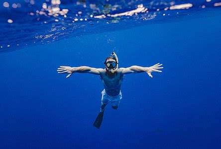 Royalty Free Photo Man Snorkeling Underwater Pickpik