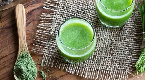 Exploring the Wonders of Chlorophyll | Rainwood Bio - With HACCP ...