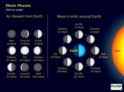 The 8 Moon Phases Explained - Calendarr