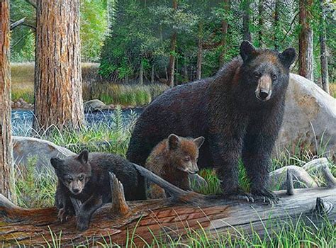 *Northcott Black Bear Adventure bear/cubs/forest panel