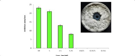 Antifungal Activity Of A Terreus Against A Solani Invitro Efficacy Of