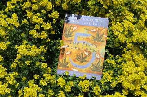 Books I've Read | The Fifth Agreement - Don Miguel Ruiz, Don Jose Ruiz