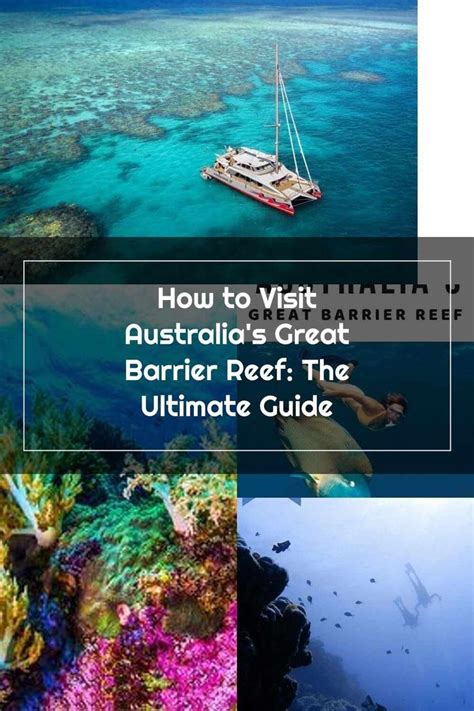 Australia S Great Barrier Reef Is The Ultimate Guide For Scuba