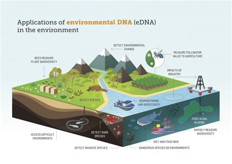 Using Dna For Environmental Management Western Australian Naturalists Club